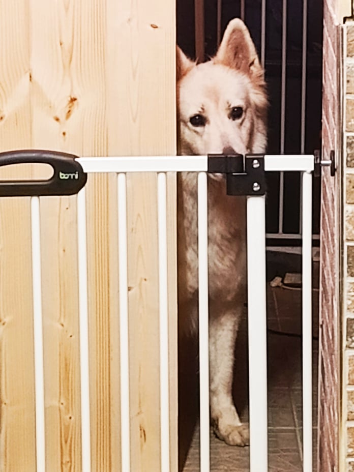 Besuch von Donnerwetter