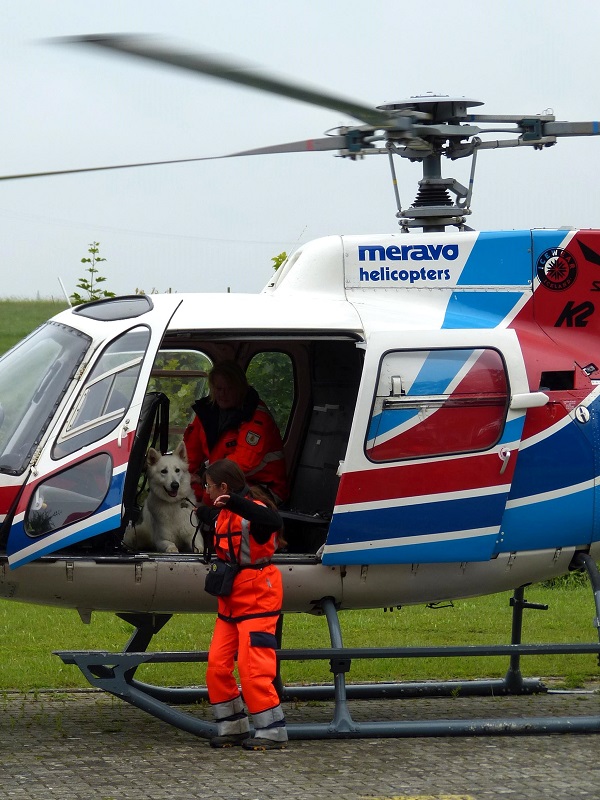 Shamrock Shepherds Donnerwetter und Sabrina Wagoun beim Hubschraubertraining
