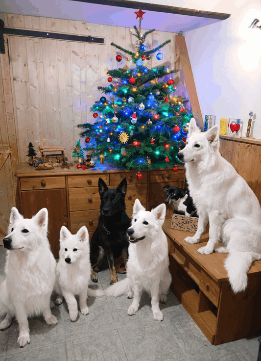 Schöne Weihnachten (im Original)