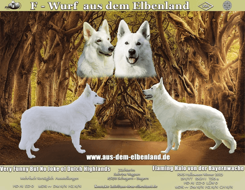 Wurfankündigung